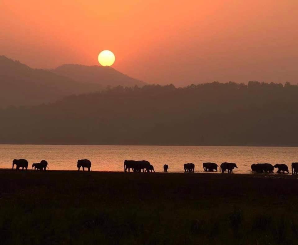 Wild Lake Side Udawalawe Luaran gambar