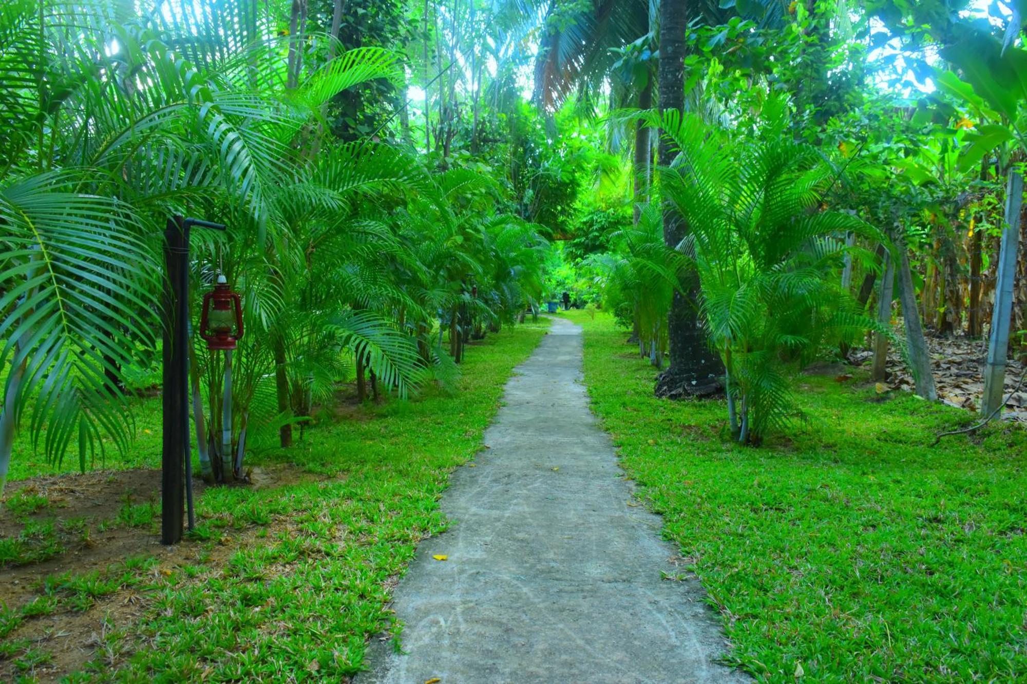 Wild Lake Side Udawalawe Luaran gambar