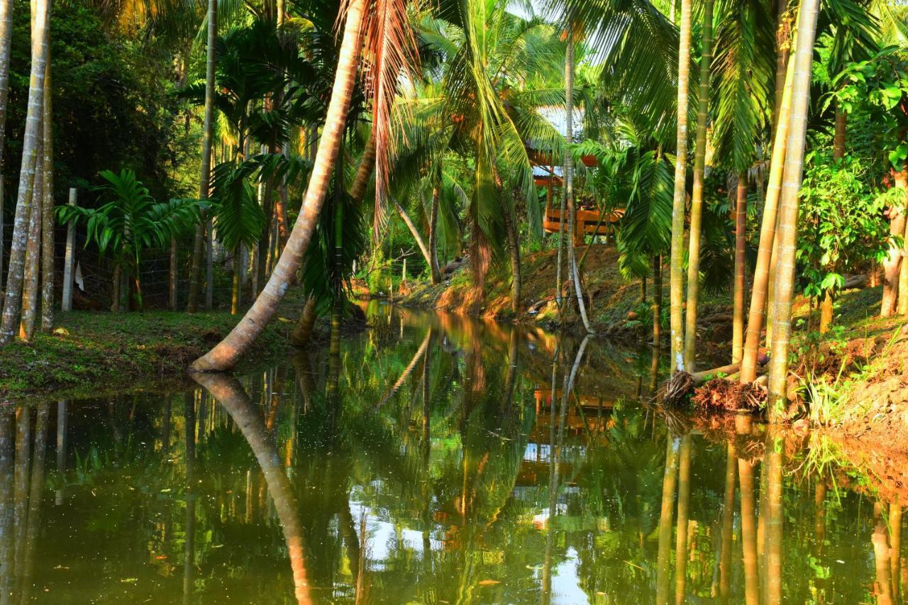 Wild Lake Side Udawalawe Luaran gambar