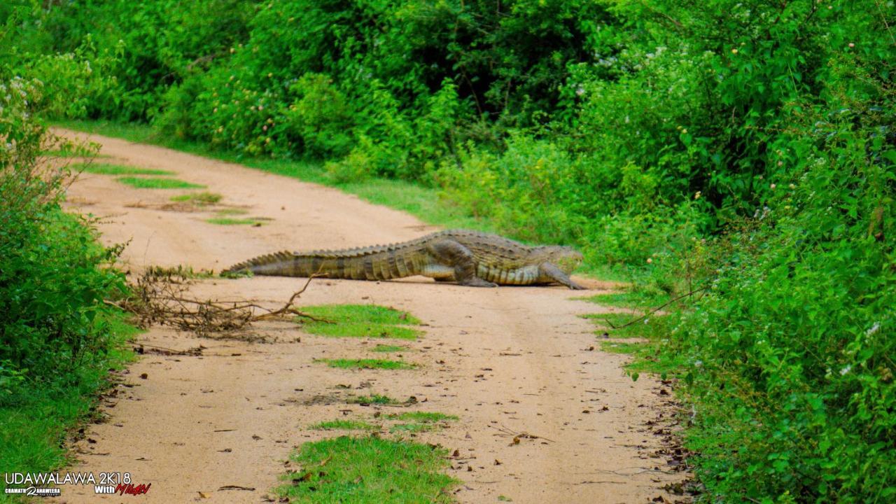 Wild Lake Side Udawalawe Luaran gambar